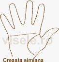 Creasta simiana