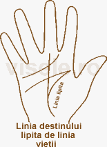 Linia destinului lipita de linia vietii