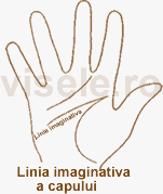 Linia imaginativa a capului