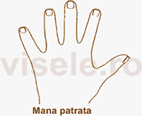 mana patrata, palma patrata